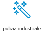 Pulizia Industriale